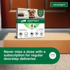 Advantage II Flea Spot Treatment For Dogs, 3-10 Lbs -Snuggle Paws 74389 PT8. AC SS1800 V1680187637