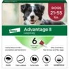 Advantage II Flea Treatment For Dogs, 21-55 Lbs -Snuggle Paws 74392 MAIN. AC SS1800 V1680188710