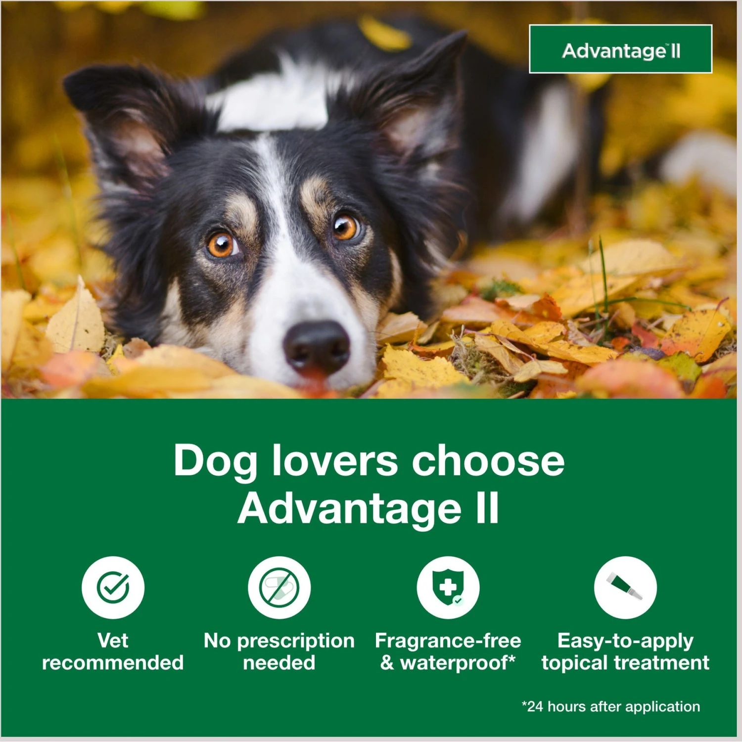 Advantage II Flea Treatment For Dogs, 21-55 Lbs 5 Advantage II Flea Treatment For Dogs, 21-55 Lbs - Image 3