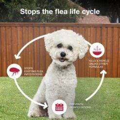 K9 Advantix II Flea & Tick Spot Treatment For Dogs, 4-10 Lbs 17 K9 Advantix II Flea & Tick Spot Treatment For Dogs, 4-10 Lbs -Snuggle Paws 74394 PT6. AC SS1800 V1680187178