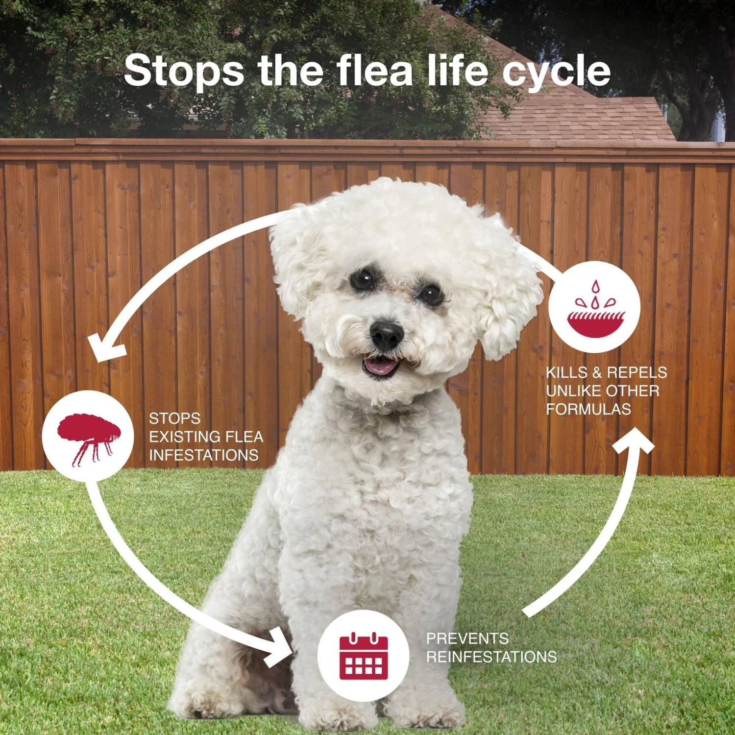 K9 Advantix II Flea & Tick Spot Treatment For Dogs, 4-10 Lbs 9 K9 Advantix II Flea & Tick Spot Treatment For Dogs, 4-10 Lbs - Image 7