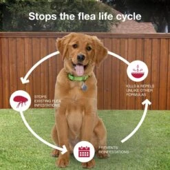 K9 Advantix II Flea & Tick Spot Treatment For Dogs, 11-20 Lbs -Snuggle Paws 74396 PT6. AC SS1800 V1680188172