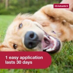 K9 Advantix II Flea & Tick Spot Treatment For Dogs, 21-55 Lbs -Snuggle Paws 74405 PT5. AC SS1800 V1680188171