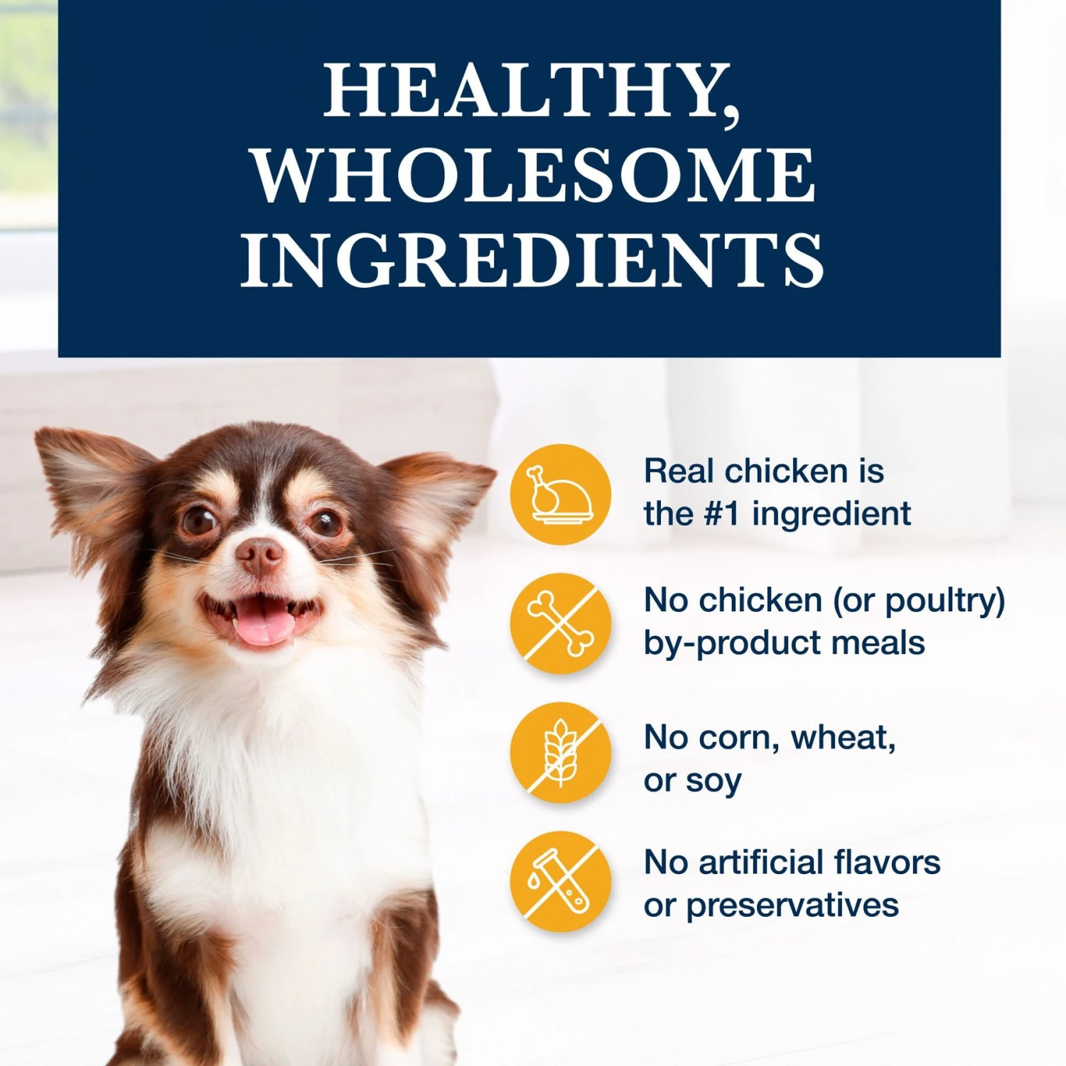 Blue Buffalo Natural Veterinary Diet KS Kidney Support Dry Dog Food 8 Blue Buffalo Natural Veterinary Diet KS Kidney Support Dry Dog Food - Image 6