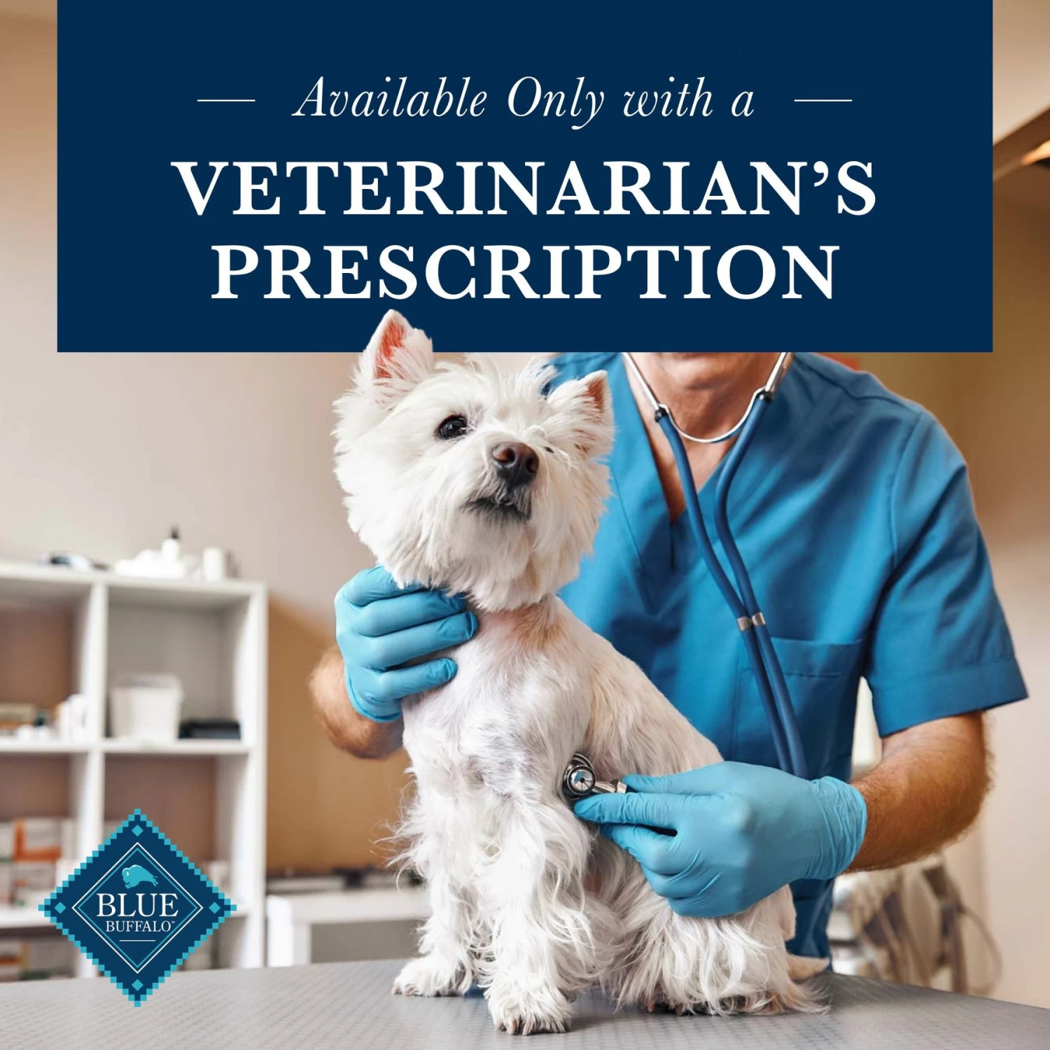 Blue Buffalo Natural Veterinary Diet KS Kidney Support Dry Dog Food 9 Blue Buffalo Natural Veterinary Diet KS Kidney Support Dry Dog Food - Image 7