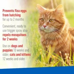 Adams® Adams Topical Flea & Tick Spray For Dogs & Cats -Snuggle Paws 74673 PT3. AC SS1800 V1658198445