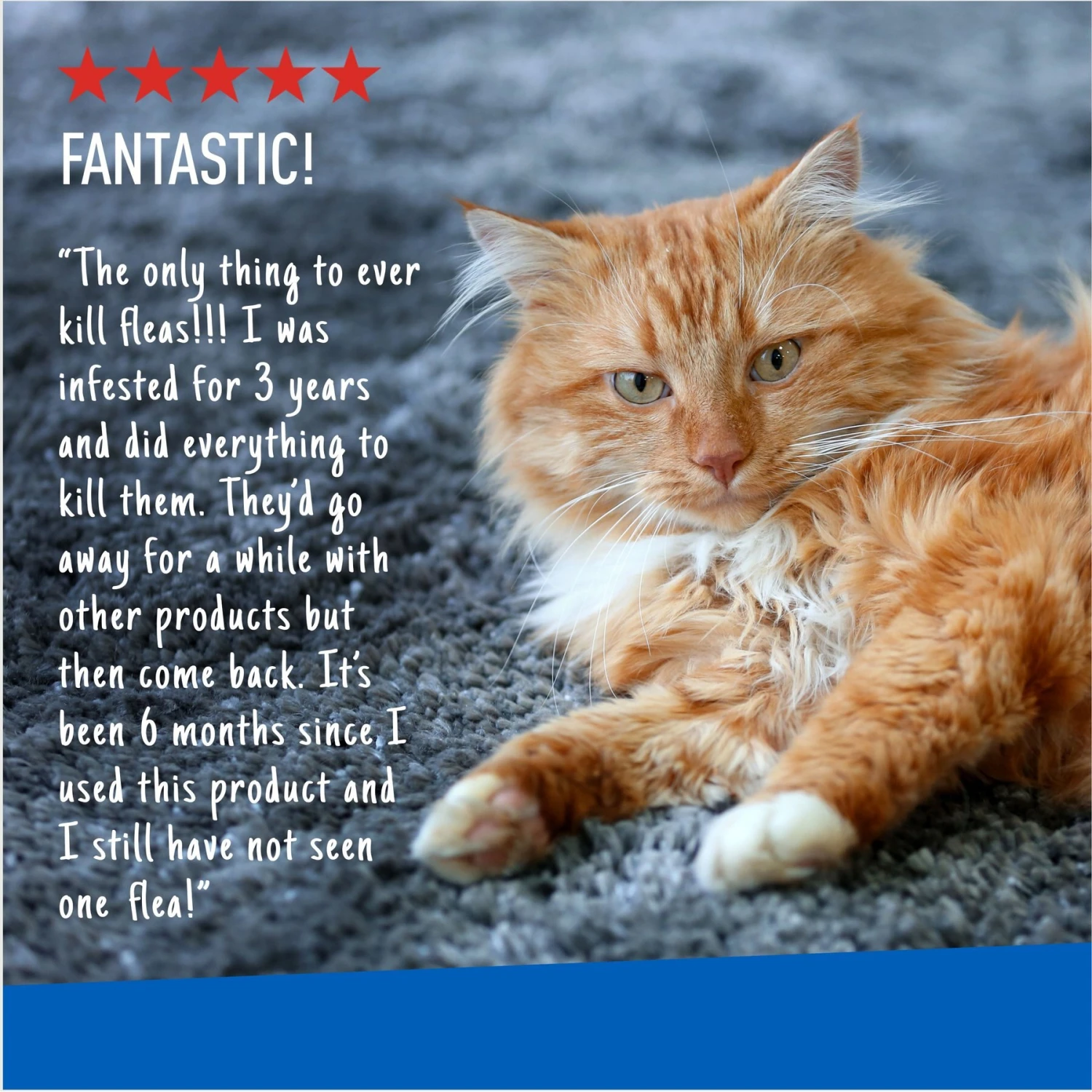 Adams® Adams Flea & Tick Carpet Powder 8 Adams® Adams Flea & Tick Carpet Powder - Image 6