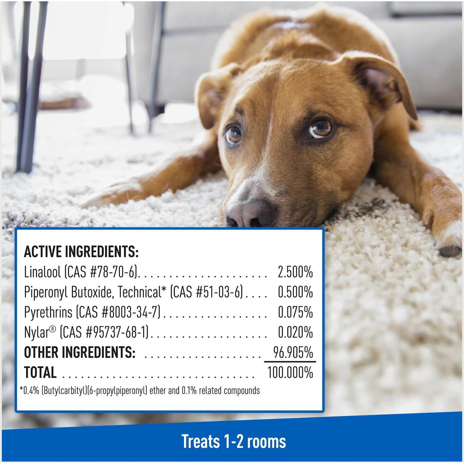 Adams® Adams Flea & Tick Carpet Powder 10 Adams® Adams Flea & Tick Carpet Powder - Image 8