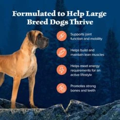 Blue Buffalo Wilderness Large Breed Adult High Protein Natural Chicken & Wholesome Grains Dry Dog Food 13 Blue Buffalo Wilderness Large Breed Adult High Protein Natural Chicken & Wholesome Grains Dry Dog Food -Snuggle Paws 748294 PT3. AC SS1800 V1694549409