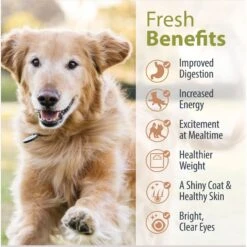 JustFoodForDogs Pantry Fresh Beef & Chicken Variety Pack Fresh Dog Food, 12.5-oz Pouch, Case Of 6 16 JustFoodForDogs Pantry Fresh Beef & Chicken Variety Pack Fresh Dog Food, 12.5-oz Pouch, Case Of 6 -Snuggle Paws 749806 PT5. AC SS1800 V1674768977