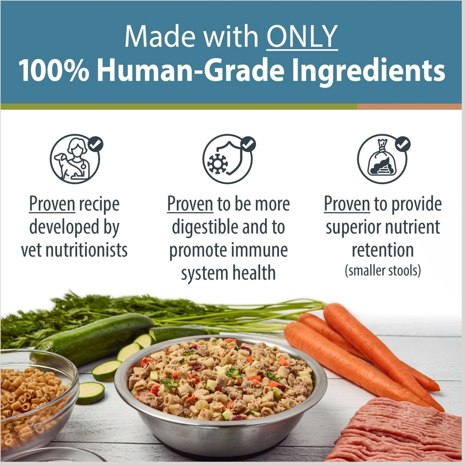 JustFoodForDogs Pantry Fresh Turkey & Whole Wheat Macaroni Fresh Dog Food 4 JustFoodForDogs Pantry Fresh Turkey & Whole Wheat Macaroni Fresh Dog Food - Image 2