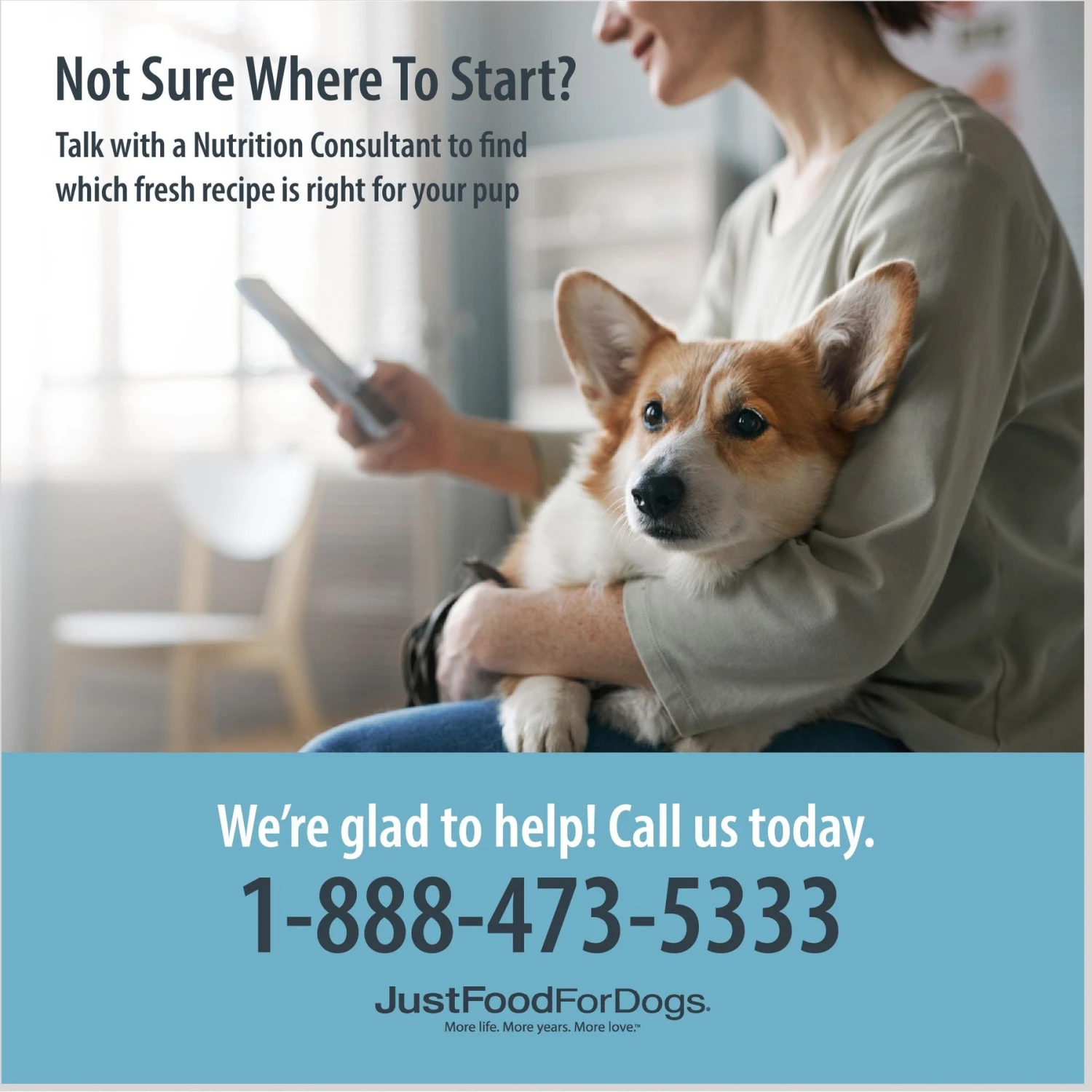 JustFoodForDogs Pantry Fresh Turkey & Whole Wheat Macaroni Fresh Dog Food 9 JustFoodForDogs Pantry Fresh Turkey & Whole Wheat Macaroni Fresh Dog Food - Image 7