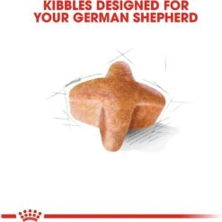 Royal Canin Breed Health Nutrition German Shepherd Adult Dry Dog Food -Snuggle Paws 75164 PT3. AC SS1800 V1697213154