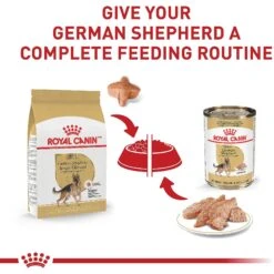 Royal Canin Breed Health Nutrition German Shepherd Adult Dry Dog Food -Snuggle Paws 75164 PT5. AC SS1800 V1697213803