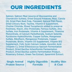 Wellness Simple Limited Ingredient Diet Grain-Free Small Breed Salmon & Potato Formula Dry Dog Food -Snuggle Paws 75324 PT7. AC SS1800 V1611092710