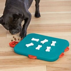 Nina Ottosson By Outward Hound Casino Puzzle Game Dog Toy -Snuggle Paws 75370 PT5. AC SS1800 V1694286656