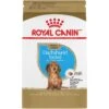 Royal Canin Breed Health Nutrition Dachshund Puppy Dry Dog Food -Snuggle Paws 75441 MAIN. AC SS1800 V1697139201