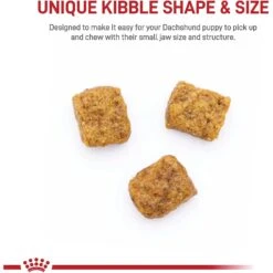 Royal Canin Breed Health Nutrition Dachshund Puppy Dry Dog Food 14 Royal Canin Breed Health Nutrition Dachshund Puppy Dry Dog Food -Snuggle Paws 75441 PT3. AC SS1800 V1697216175