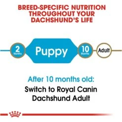 Royal Canin Breed Health Nutrition Dachshund Puppy Dry Dog Food 17 Royal Canin Breed Health Nutrition Dachshund Puppy Dry Dog Food -Snuggle Paws 75441 PT6. AC SS1800 V1697212396