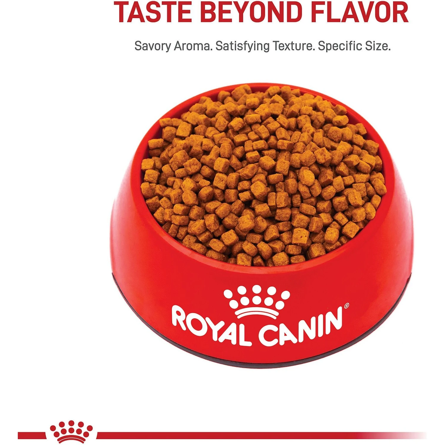 Royal Canin Breed Health Nutrition Poodle Puppy Dry Dog Food 4 Royal Canin Breed Health Nutrition Poodle Puppy Dry Dog Food - Image 2