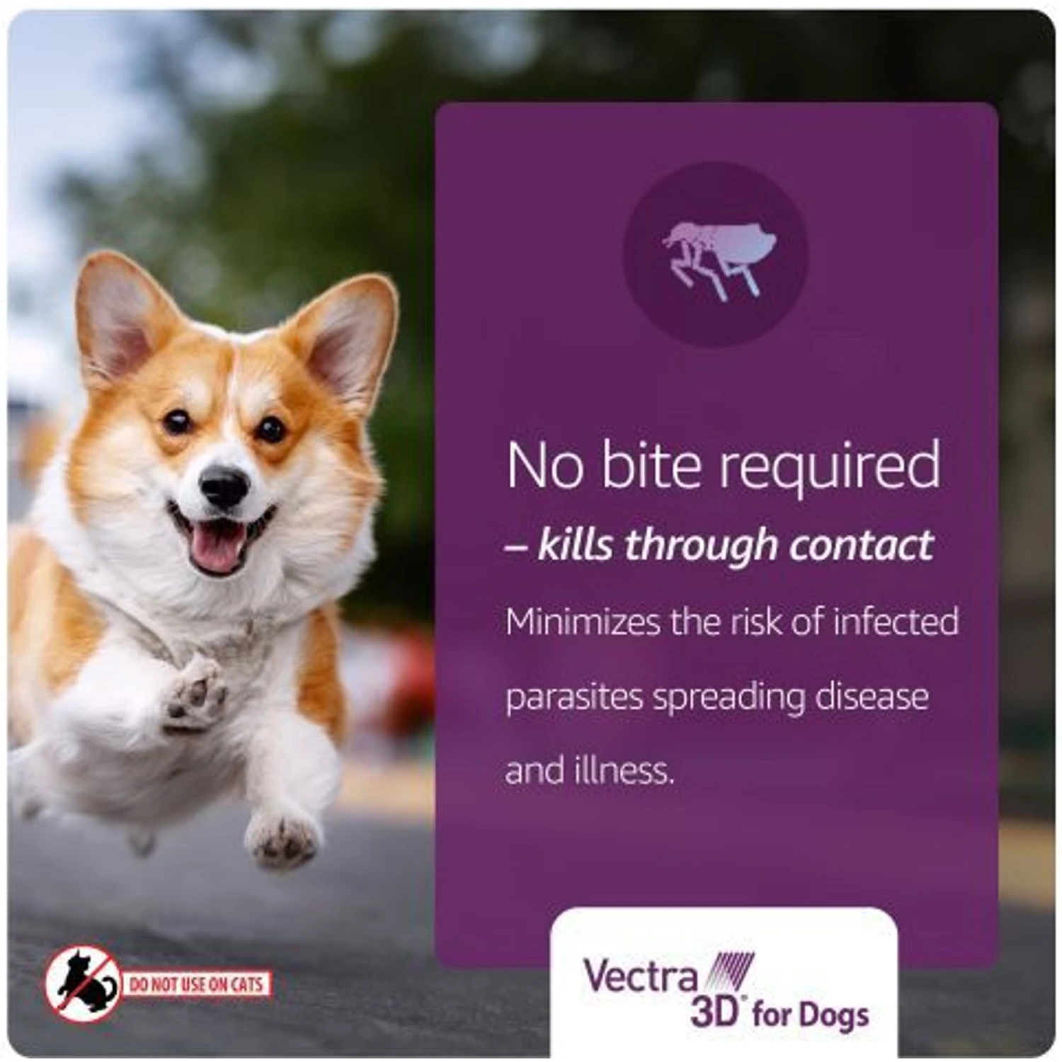 Vectra 3D Flea & Tick Control For Dogs Over 95lbs 8 Vectra 3D Flea & Tick Control For Dogs Over 95lbs - Image 6