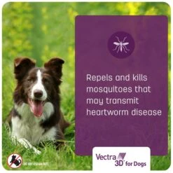 Vectra 3D Flea & Tick Control For Dogs Over 95lbs 17 Vectra 3D Flea & Tick Control For Dogs Over 95lbs -Snuggle Paws 756006 PT6. AC SS1800 V1689886351