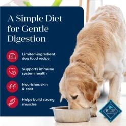 Blue Buffalo Basics Skin & Stomach Care Grain-Free Formula Salmon & Potato Recipe Adult Dry Dog Food 13 Blue Buffalo Basics Skin & Stomach Care Grain-Free Formula Salmon & Potato Recipe Adult Dry Dog Food -Snuggle Paws 75668 PT2. AC SS1800 V1646253418