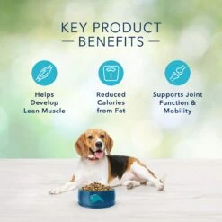 Blue Buffalo Freedom Adult Healthy Weight Chicken Recipe Grain-Free Dry Dog Food 14 Blue Buffalo Freedom Adult Healthy Weight Chicken Recipe Grain-Free Dry Dog Food -Snuggle Paws 75713 PT5. AC SS1800 V1649112091