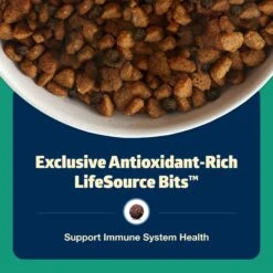 Blue Buffalo Freedom Adult Lamb Recipe Grain-Free Dry Dog Food -Snuggle Paws 75719 PT6. AC SS1800 V1649132200