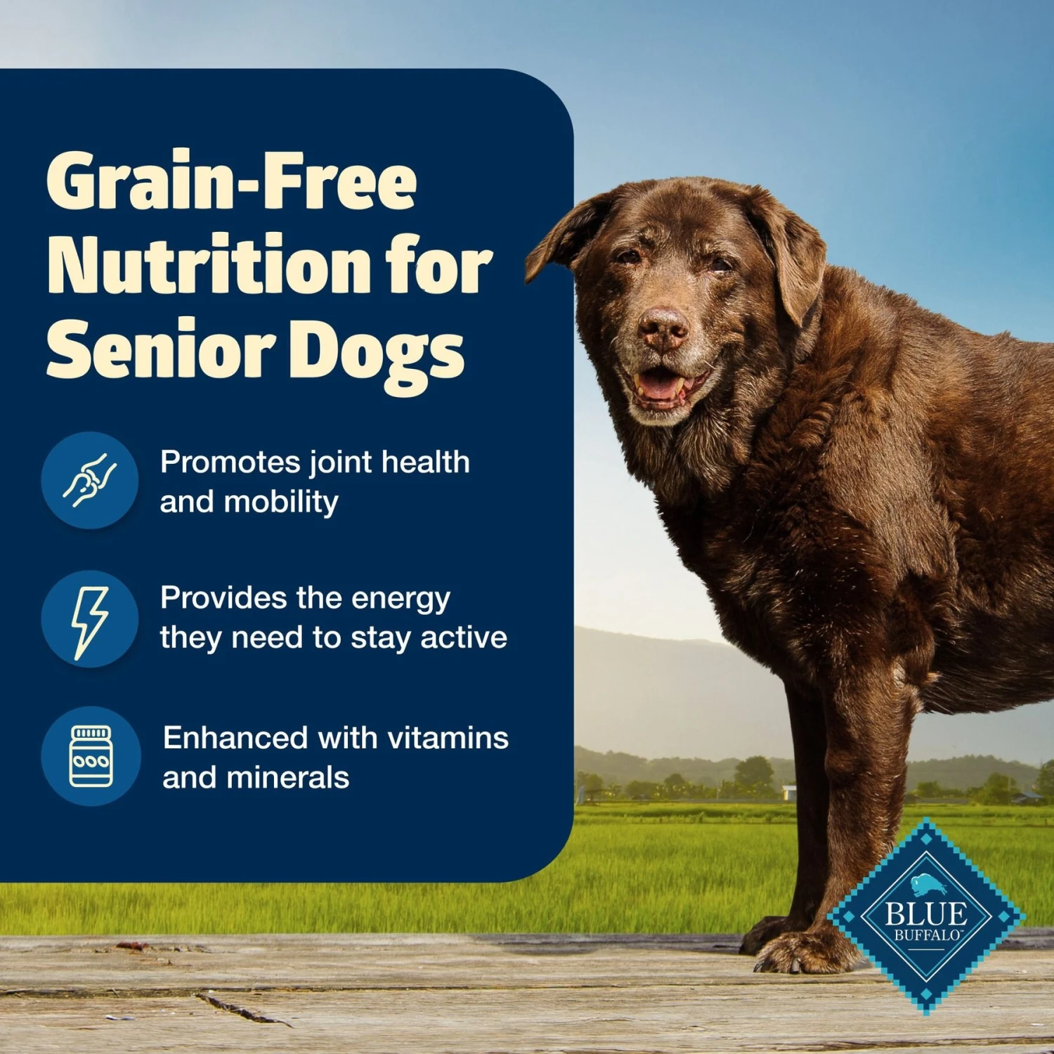Blue Buffalo Freedom Senior Chicken Recipe Grain-Free Dry Dog Food 4 Blue Buffalo Freedom Senior Chicken Recipe Grain-Free Dry Dog Food - Image 2