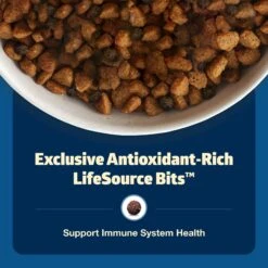 Blue Buffalo Freedom Senior Chicken Recipe Grain-Free Dry Dog Food 15 Blue Buffalo Freedom Senior Chicken Recipe Grain-Free Dry Dog Food -Snuggle Paws 75733 PT6. AC SS1800 V1649134594