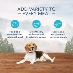 Blue Buffalo Wilderness Healthy Weight Turkey & Chicken Grill Grain-Free Adult Canned Dog Food -Snuggle Paws 75743 PT4. AC SS1800 V1646792488