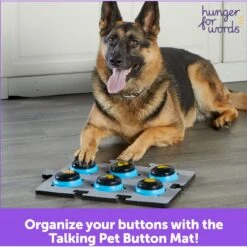 Hunger For Words Talking Pet Button Mat Dog Toy & Hunger For Words Talking Pet Starter Set Dog Toy -Snuggle Paws 757726 PT8. AC SS1800 V1674051110