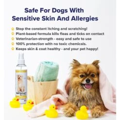 VetSmart Formulas Protect Home & Dog Spray, 8-oz Bottle, 6 Count 15 VetSmart Formulas Protect Home & Dog Spray, 8-oz Bottle, 6 Count -Snuggle Paws 757950 PT6. AC SS1800 V1674167223