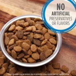 Iams Proactive Health MiniChunks Small Kibble Adult Chicken & Whole Grain Dry Dog Food & Iams Proactive Health Healthy Weight Management Low Fat Formula With Real Chicken Adult Dry Dog Food 19 Iams Proactive Health MiniChunks Small Kibble Adult Chicken & Whole Grain Dry Dog Food & Iams Proactive Health Healthy Weight Management Low Fat Formula With Real Chicken Adult Dry Dog Food -Snuggle Paws 761646 PT8. AC SS1800 V1674599283