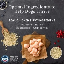 Blue Buffalo Blue Wilderness Premier Blend With Meaty Cuts Chicken Senior Dry Dog Food -Snuggle Paws 761758 PT3. AC SS1800 V1680631025