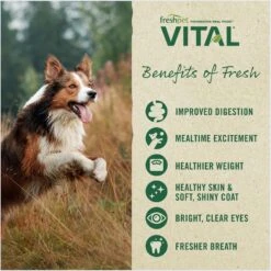 Freshpet Vital Chicken, Beef, Salmon & Egg Recipe Grain-Free Fresh Dog Food 15 Freshpet Vital Chicken, Beef, Salmon & Egg Recipe Grain-Free Fresh Dog Food -Snuggle Paws 764046 PT5. AC SS1800 V1694010350