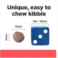 Hill's Prescription Diet ONC Care Dry Dog Food -Snuggle Paws 765326 PT5. AC SS1800 V1675112982