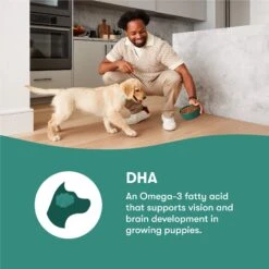 Jinx Jr Whole Grain Chicken Recipe Natural Dry Puppy Food, 4-lb Bag 12 Jinx Jr Whole Grain Chicken Recipe Natural Dry Puppy Food, 4-lb Bag -Snuggle Paws 765598 PT3. AC SS1800 V1675201411