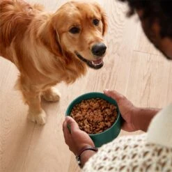 Jinx Beef & Sweet Potato Chopped Recipe Grain-Free Wet Dog Food, 13-oz Can, Case Of 12 -Snuggle Paws 765630 PT5. AC SS1800 V1675201468