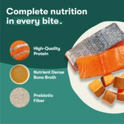 Jinx Salmon & Sweet Potato Chopped Recipe Grain-Free Wet Dog Food, 13-oz Can, Case Of 12 -Snuggle Paws 765646 PT4. AC SS1800 V1675201463