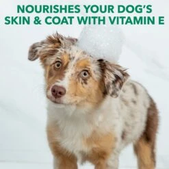 Hartz Nature's Shield Natural Flea & Tick Dog Shampoo, 14-oz Bottle -Snuggle Paws 766534 PT5. AC SS1800 V1679411808