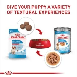 Royal Canin Size Health Nutrition Medium Puppy Thin Slices In Gravy Wet Dog Food, 13-oz, Case Of 12 -Snuggle Paws 766710 PT4. AC SS1800 V1697213092