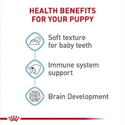 Royal Canin Size Health Nutrition X-Small Puppy Thin Slices In Gravy Wet Dog Food, 3-oz, Case Of 24 -Snuggle Paws 766726 PT4. AC SS1800 V1697217044