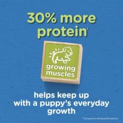 Puppy Chow Tender & Crunchy With Real Beef Dry Dog Food -Snuggle Paws 767774 PT2. AC SS1800 V1675375952