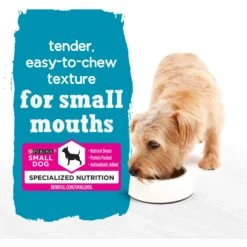 Purina Beneful IncrediBites Grilled Chicken & Filet Mignon Variety Pack Pate Small Wet Dog Food, 3.5-oz Tray, Case Of 12 -Snuggle Paws 768478 PT2. AC SS1800 V1699368561