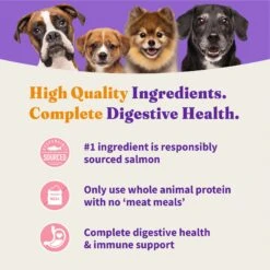 Halo Holistic Complete Digestive Health Wild-Caught Salmon & Whitefish Recipe Small Breed Dry Dog Food -Snuggle Paws 77071 PT3. AC SS1800 V1669906619