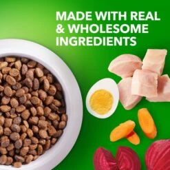 Iams Proactive Health Puppy High Protein DHA Formula With Real Chicken Dry Dog Food -Snuggle Paws 77199 PT3. AC SS1800 V1668024638