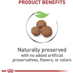 Royal Canin Size Health Nutrition Large Puppy Dry Dog Food -Snuggle Paws 774142 PT3. AC SS1800 V1700156591