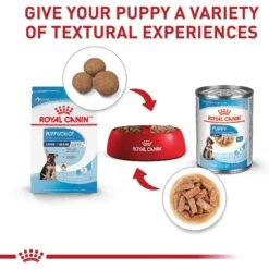 Royal Canin Size Health Nutrition Large Puppy Dry Dog Food -Snuggle Paws 774142 PT5. AC SS1800 V1700158615